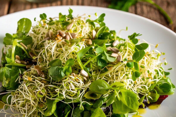 Sprouts Salad